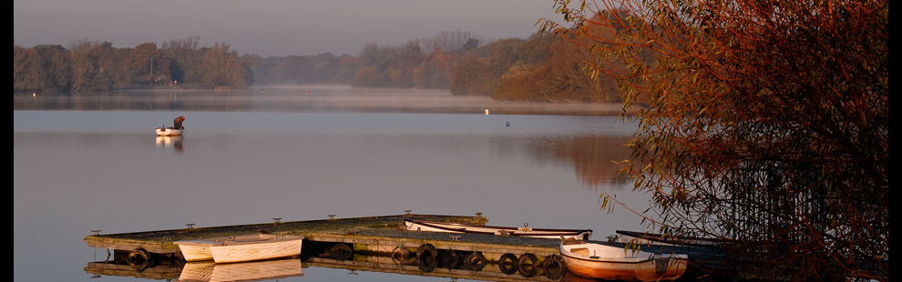 Diverse - banner1.png